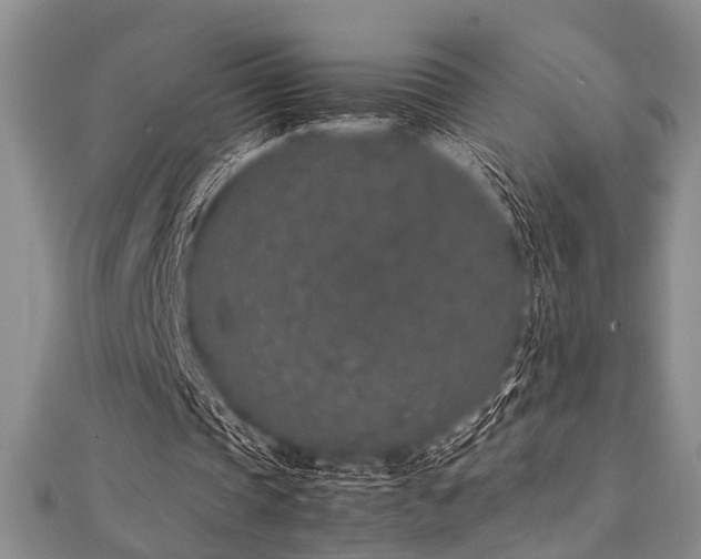 X0000112110337200908041546