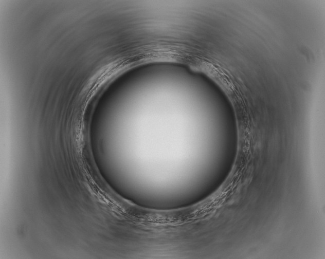 X0000112110338200908041546