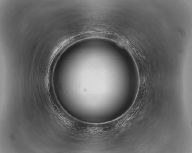 X0000112110340200908041546