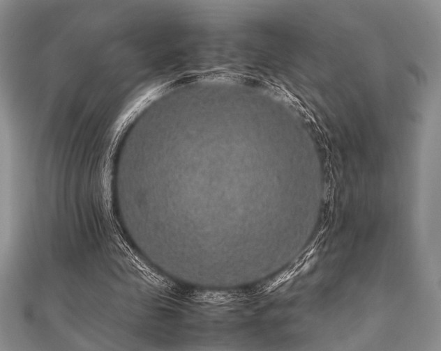 X0000112110341200908041546