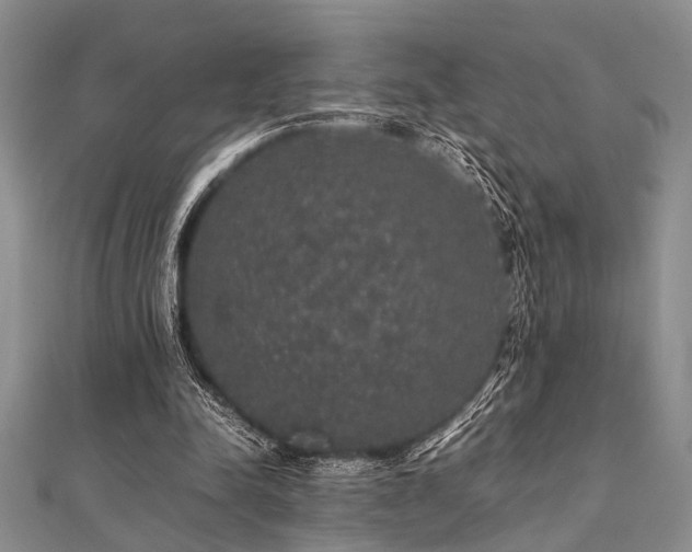 X0000112110342200908041546