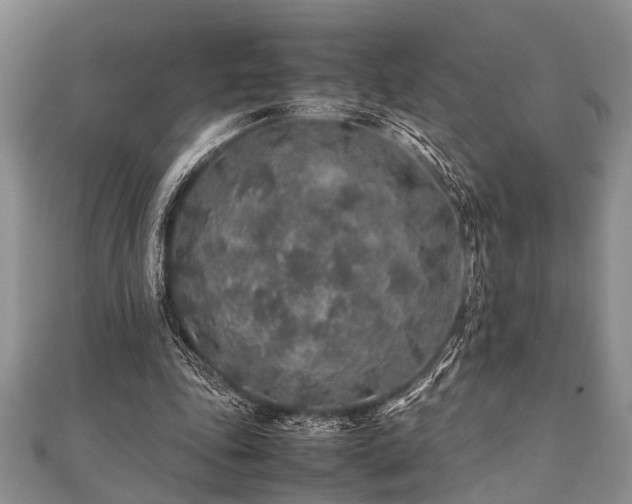 X0000112110343200908041546