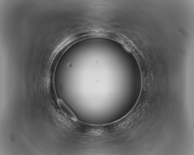 X0000112110344200908041546