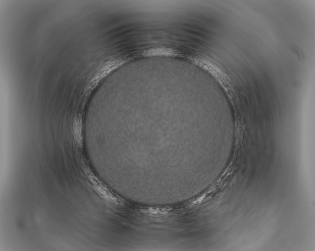 X0000112110345200908041546