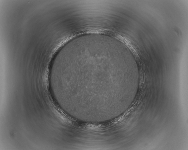 X0000112110346200908041546