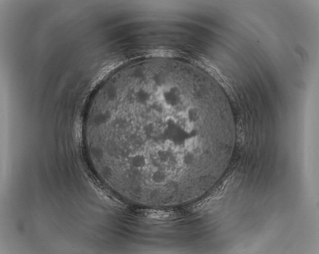 X0000112110347200908041546