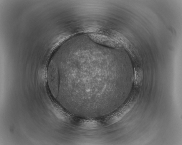 X0000112110348200908041546