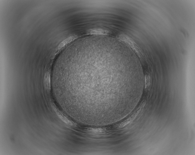 X0000112110349200908041546