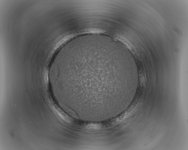 X0000112110350200908041546