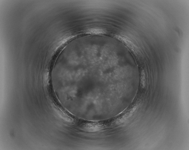 X0000112110351200908041546