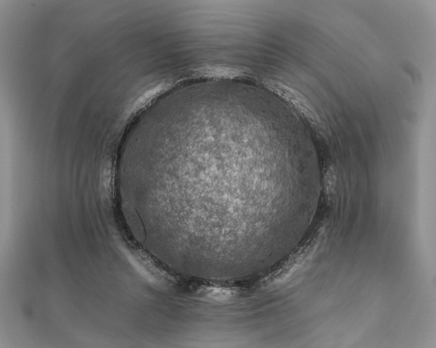 X0000112110352200908041546