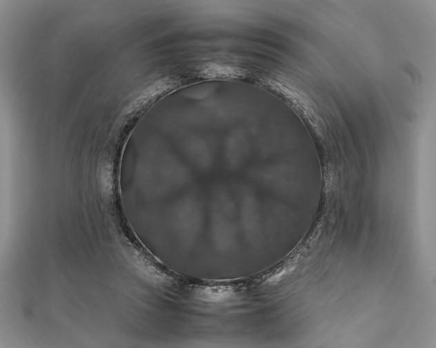 X0000112110353200908041546