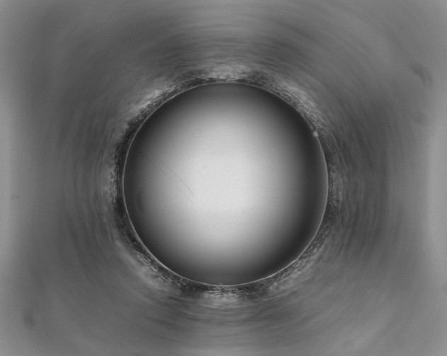 X0000112110354200908041546