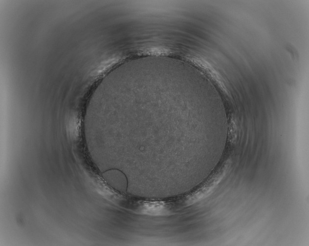 X0000112110355200908041546