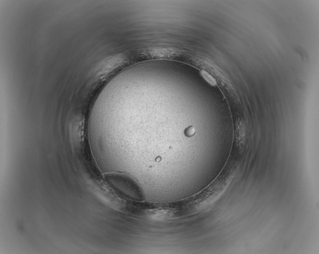 X0000112110356200908041546