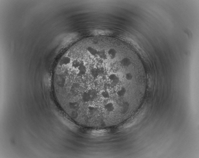 X0000112110357200908041546