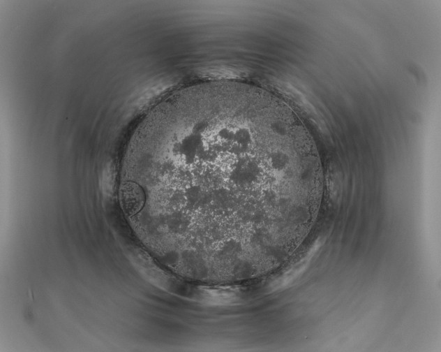 X0000112110359200908041546