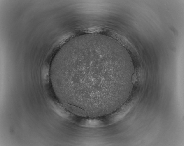 X0000112110360200908041546