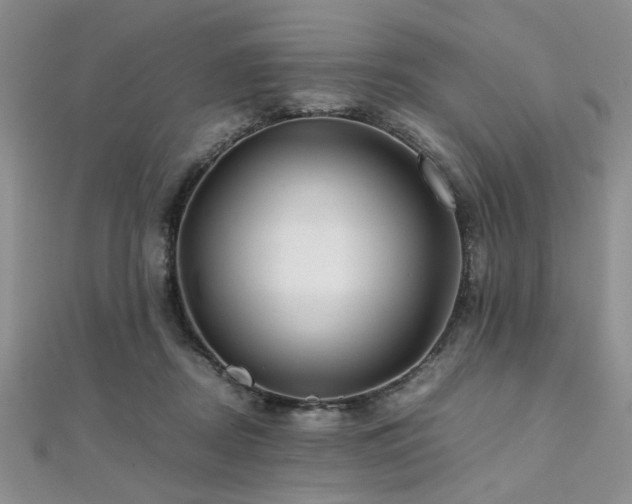 X0000112110362200908041546