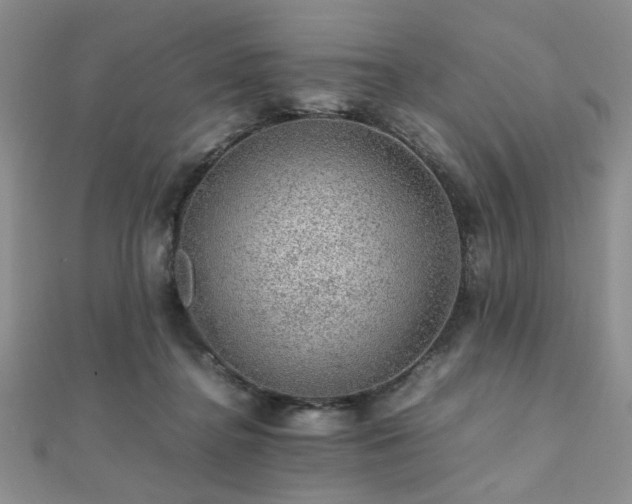 X0000112110364200908041546