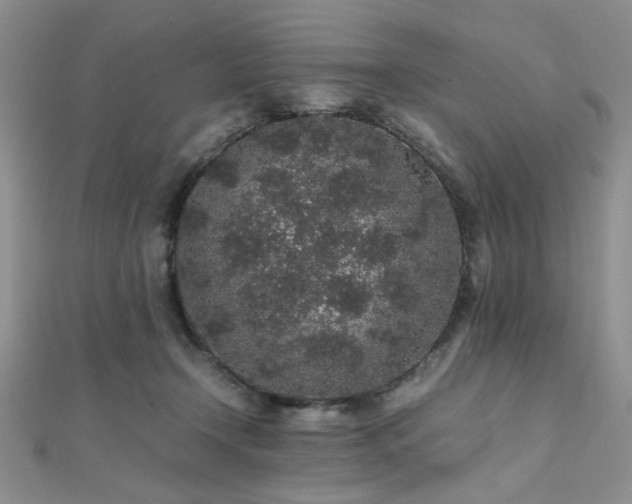 X0000112110366200908041546