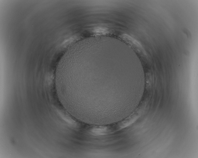 X0000112110369200908041546