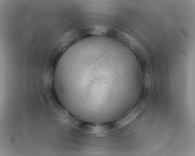 X0000112110370200908041546