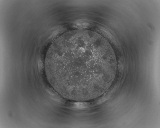 X0000112110371200908041546