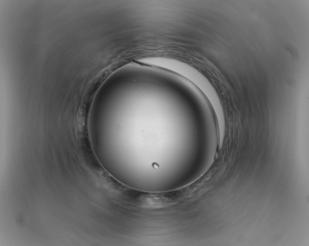 X0000112110372200908041546