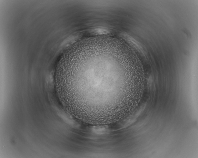 X0000112110373200908041546