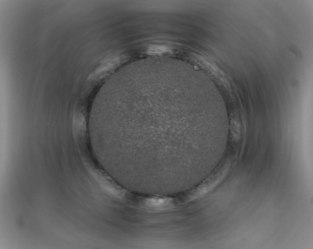 X0000112110375200908041546