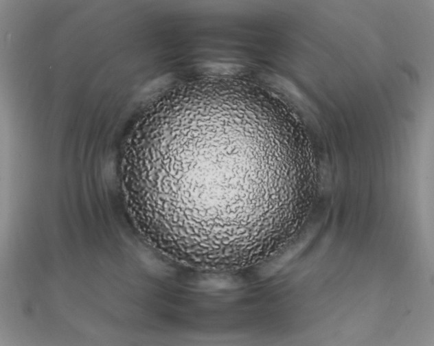 X0000112110377200908041546