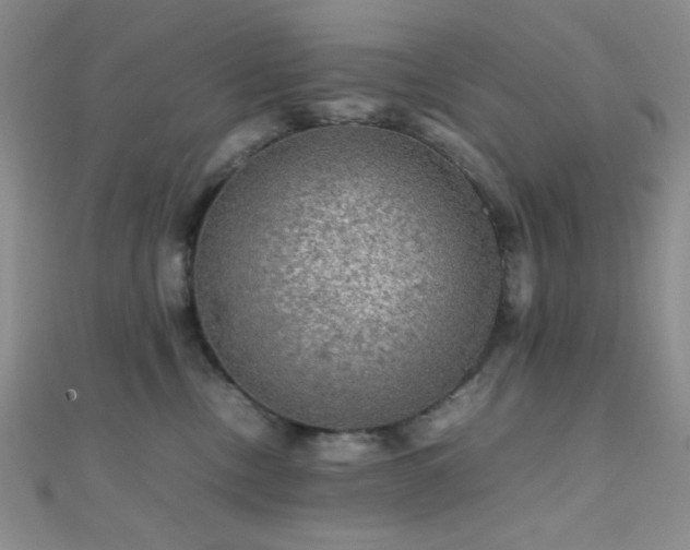 X0000112110378200908041546