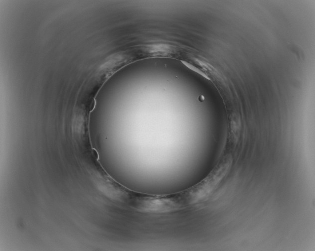 X0000112110379200908041546