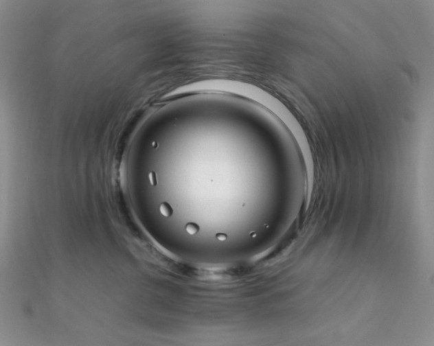 X0000112110380200908041546