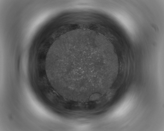 X0000112110383200908041546