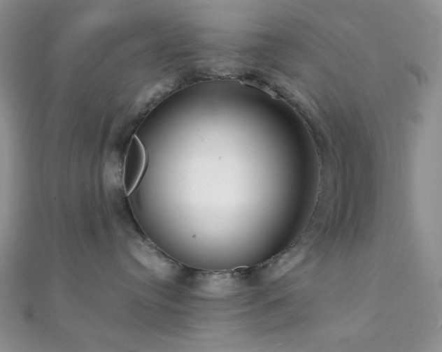 X0000112110384200908041546