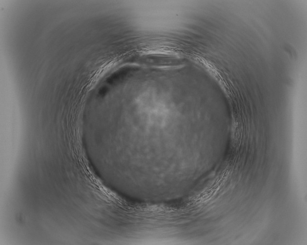 X0000112110385200908041546