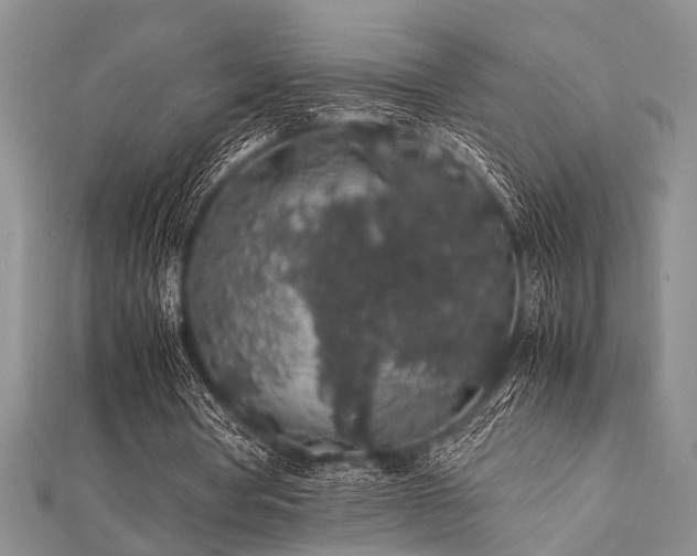 X0000112110386200908041546