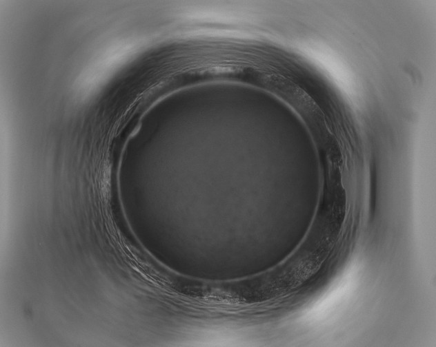 X0000112110387200908041546