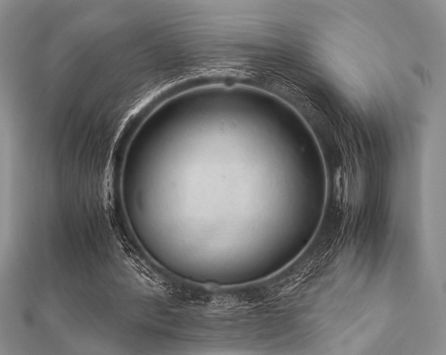 X0000112110388200908041546