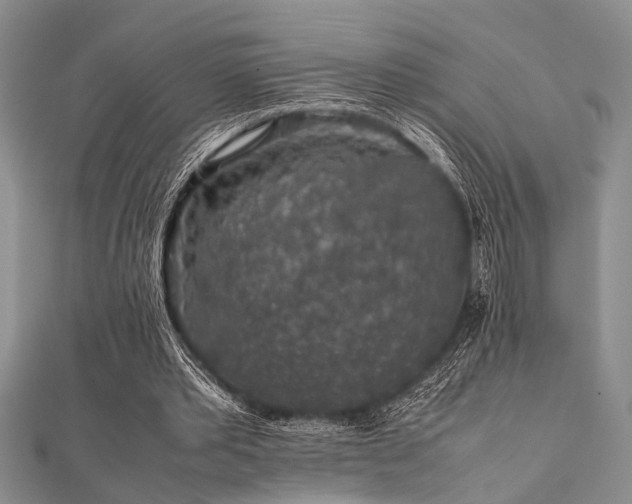 X0000112110389200908041545