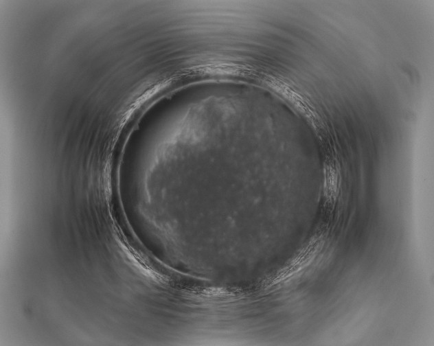 X0000112110390200908041545