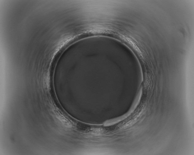 X0000112110391200908041545