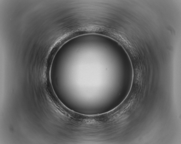 X0000112110392200908041545