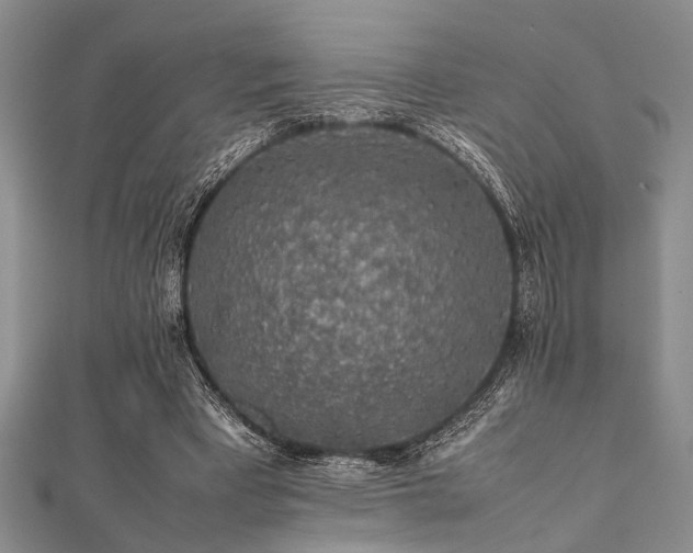 X0000112110393200908041545