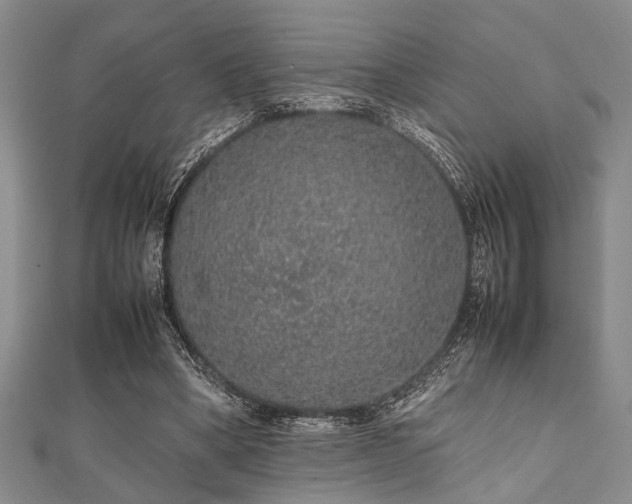 X0000112110394200908041545