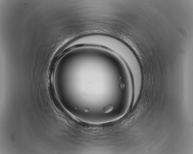 X0000112110395200908041545