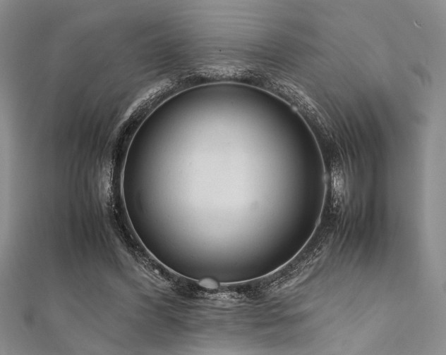 X0000112110396200908041545