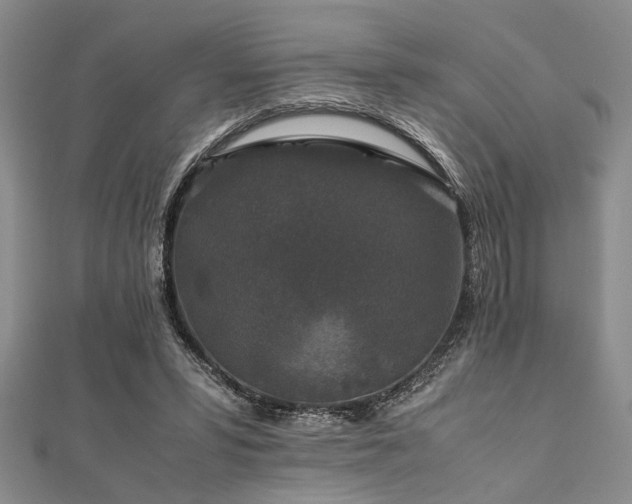 X0000112110399200908041545